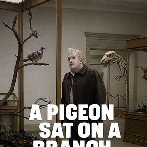 Foto Um Pombo Pousou num Galho Refletindo sobre a Existência