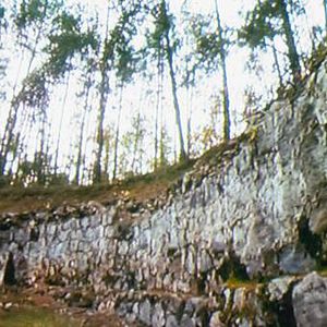 Foto Out of the Forest