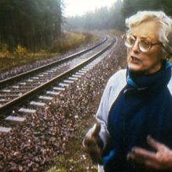 Foto Out of the Forest