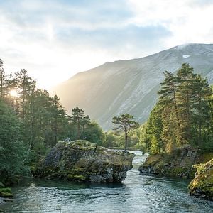 Foto Ex_Machina: Instinto Artificial