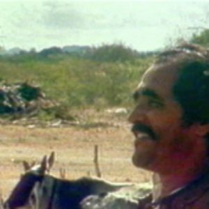 Foto O Boi Misterioso e o Vaqueiro Menino