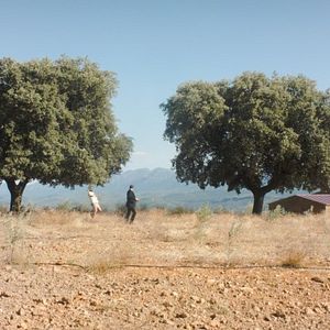 Foto El Complejo de Dinero