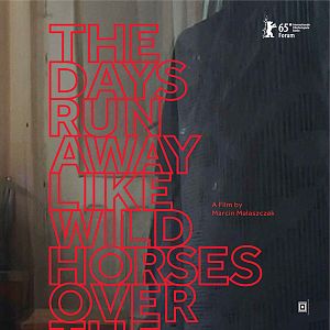 Foto The Days Run Away Like Wild Horses Over the Hills