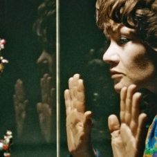 Foto Neun Leben hat die Katze