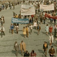 Foto Neun Leben hat die Katze