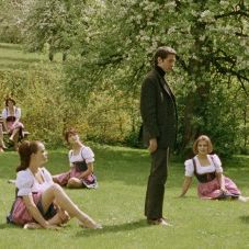 Foto Neun Leben hat die Katze