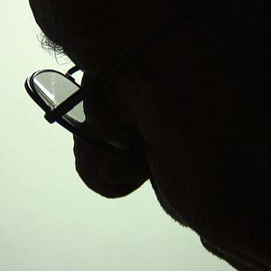 Foto Mais do que Eu Possa me Reconhecer