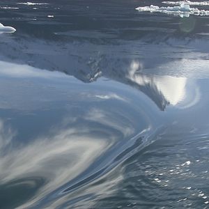 Foto O Botão de Pérola