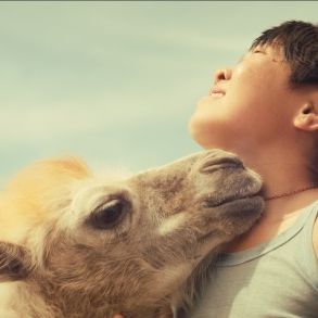 Foto As Aventuras de Bayir e o Camelo Branco