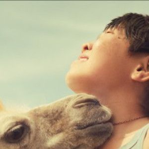 Foto As Aventuras de Bayir e o Camelo Branco