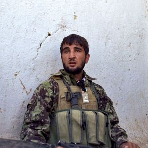 Foto Tell Spring Not to Come This Year