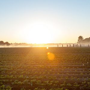 Foto McFarland Dos EUA
