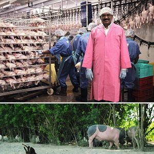 Foto 10 Bilhões - O Que Tem Para Comer?