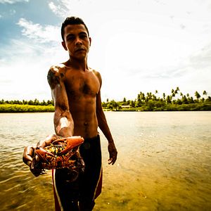 Foto A Lei da Água - Novo Código Florestal