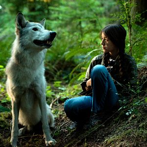 Foto Shana e a Canção do Lobo