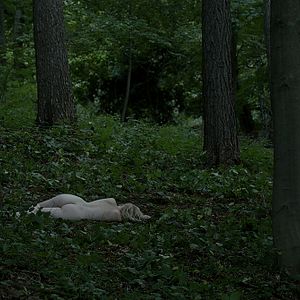 Foto Departamento Q: O Ausente