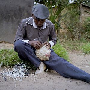 Foto Bounce: How the Ball Taught the World to Play