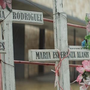 Foto Kingdom of Shadows