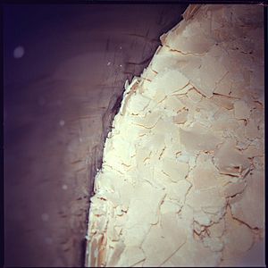 Foto The Birth of Saké