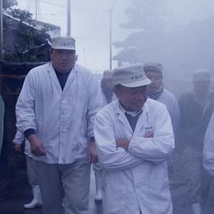 Foto The Birth of Saké