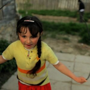 Foto A Floresta é como as Montanhas