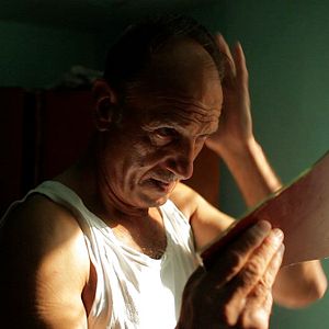 Foto A Floresta é como as Montanhas