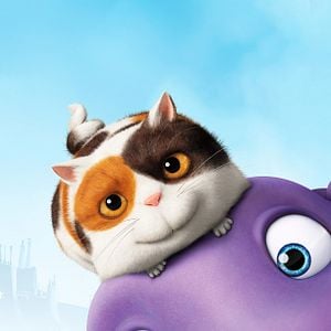 Foto Cada um na sua Casa