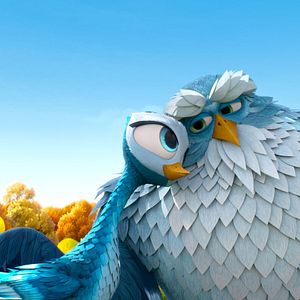 Foto O Passarinho Amarelo