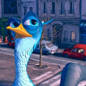 Foto O Passarinho Amarelo