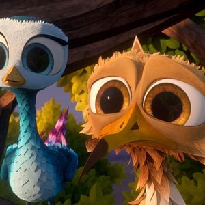 Foto O Passarinho Amarelo