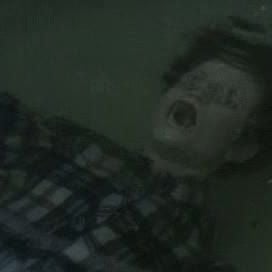 Foto O Estranho Segredo do Bosque dos Sonhos