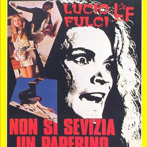 Foto O Estranho Segredo do Bosque dos Sonhos