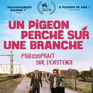 Foto Um Pombo Pousou num Galho Refletindo sobre a Existência