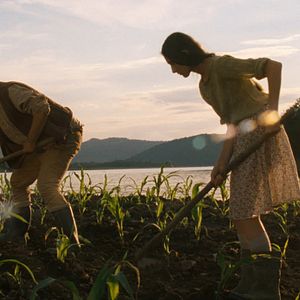 Foto A Ilha do Milharal