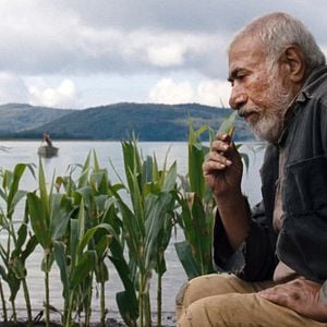 Foto A Ilha do Milharal