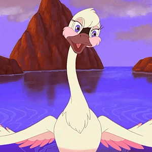 Foto O Cisne Apaixonado