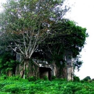 Foto A França é a Nossa Pátria