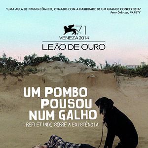 Foto Um Pombo Pousou num Galho Refletindo sobre a Existência