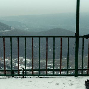 Foto Para Toda a Vida