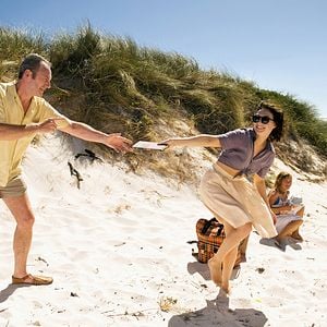 Foto Borboletas Negras