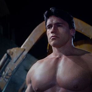 Foto Arnold Schwarzenegger