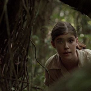 Foto Ilha dos Dinosaurios