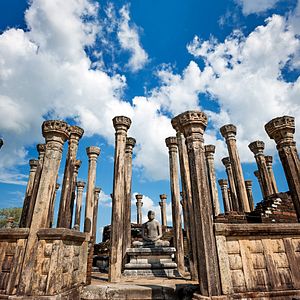 Foto O Reino dos Primatas