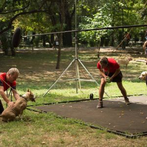 Foto No Andar Debaixo