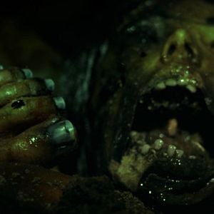 Foto A Fazenda Do Charlie