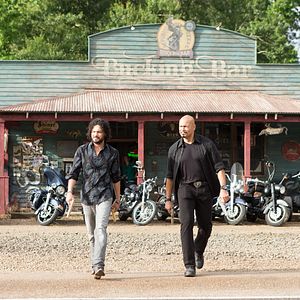 Foto Belas e Perseguidas