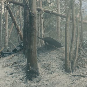 Foto Vingadores: Era de Ultron