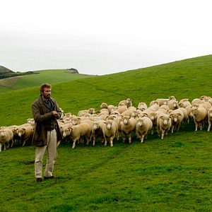 Foto Longe Deste Insensato Mundo