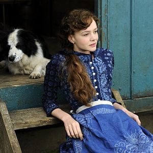 Foto Longe Deste Insensato Mundo