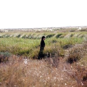 Foto Pecados Antigos, Longas Sombras